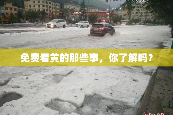 免费看黄的那些事，你了解吗？