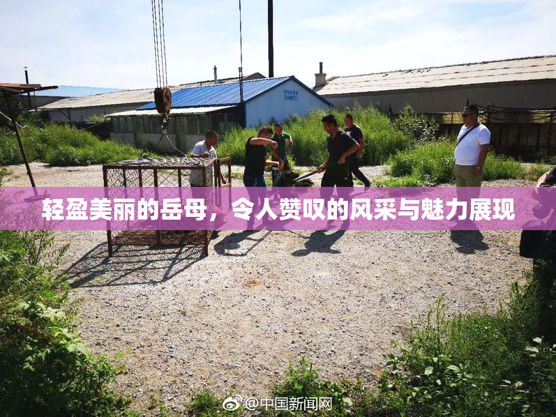 轻盈美丽的岳母，令人赞叹的风采与魅力展现