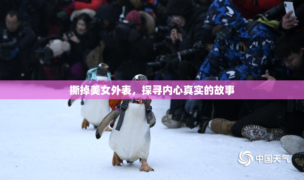 撕掉美女外表，探寻内心真实的故事