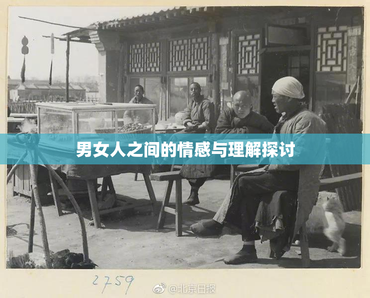 男女人之间的情感与理解探讨