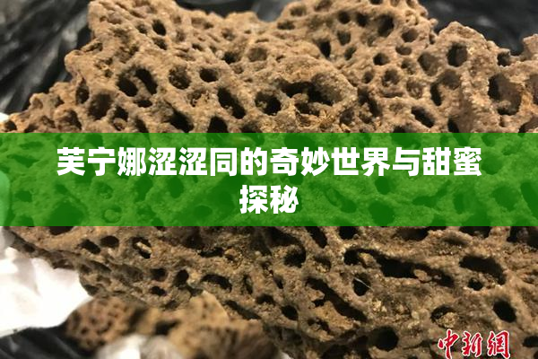 芙宁娜涩涩同的奇妙世界与甜蜜探秘