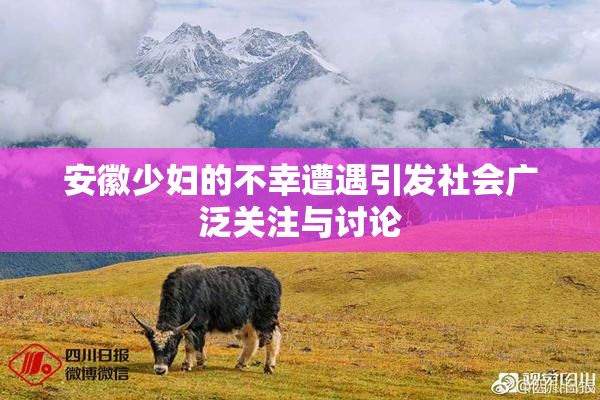 安徽少妇的不幸遭遇引发社会广泛关注与讨论