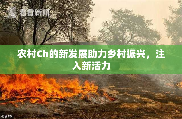 农村Ch的新发展助力乡村振兴，注入新活力