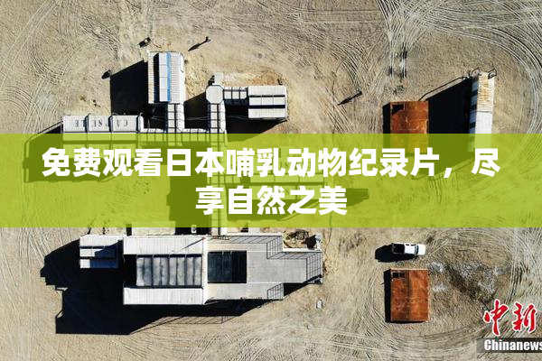 免费观看日本哺乳动物纪录片，尽享自然之美