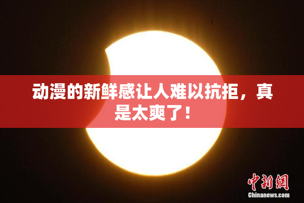 动漫的新鲜感让人难以抗拒，真是太爽了！