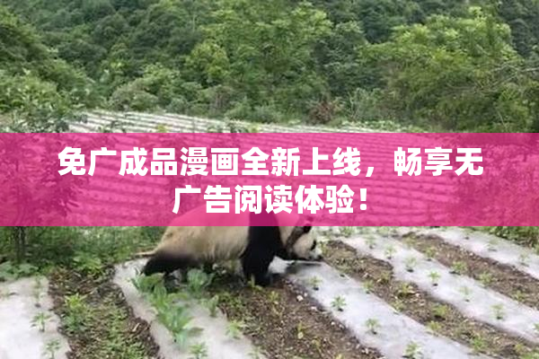 免广成品漫画全新上线，畅享无广告阅读体验！