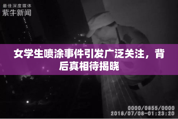 女学生喷涂事件引发广泛关注，背后真相待揭晓