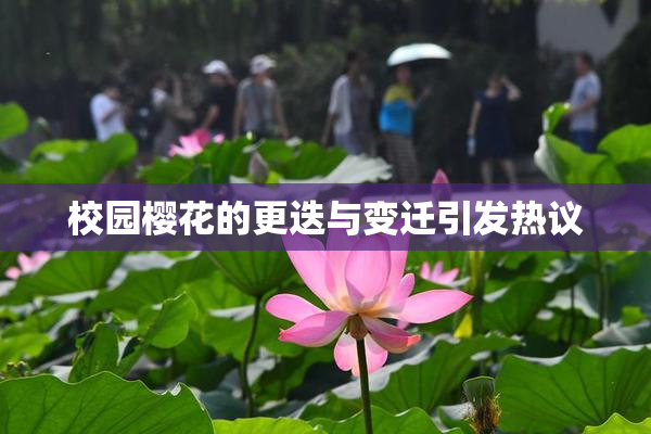 校园樱花的更迭与变迁引发热议