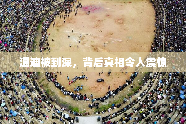 温迪被到深，背后真相令人震惊