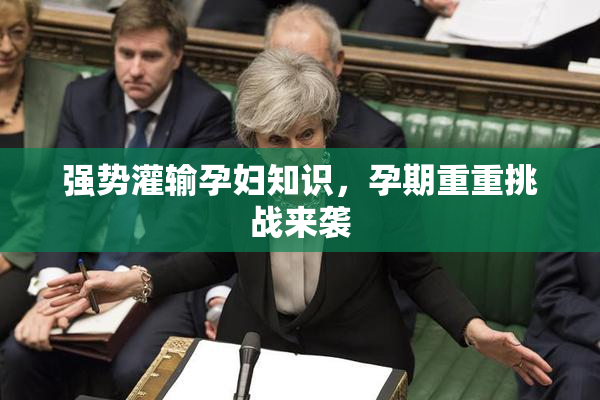 强势灌输孕妇知识，孕期重重挑战来袭