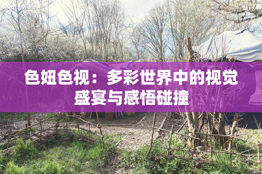 色妞色视：多彩世界中的视觉盛宴与感悟碰撞