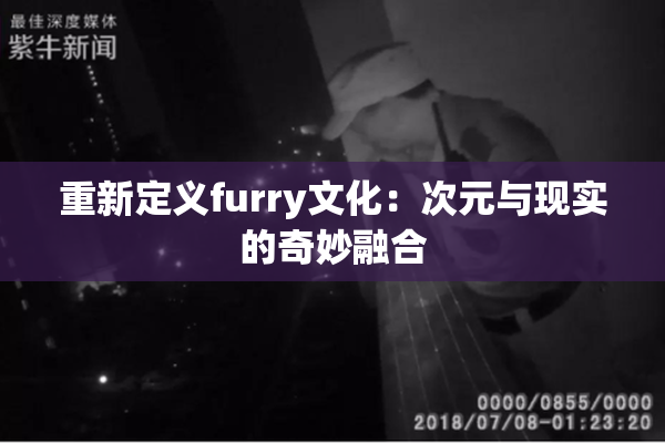 重新定义furry文化：次元与现实的奇妙融合
