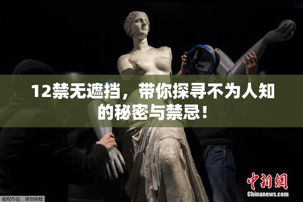 12禁无遮挡，带你探寻不为人知的秘密与禁忌！
