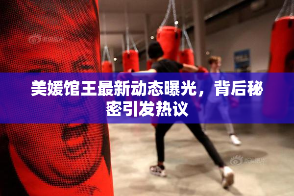 美媛馆王最新动态曝光，背后秘密引发热议