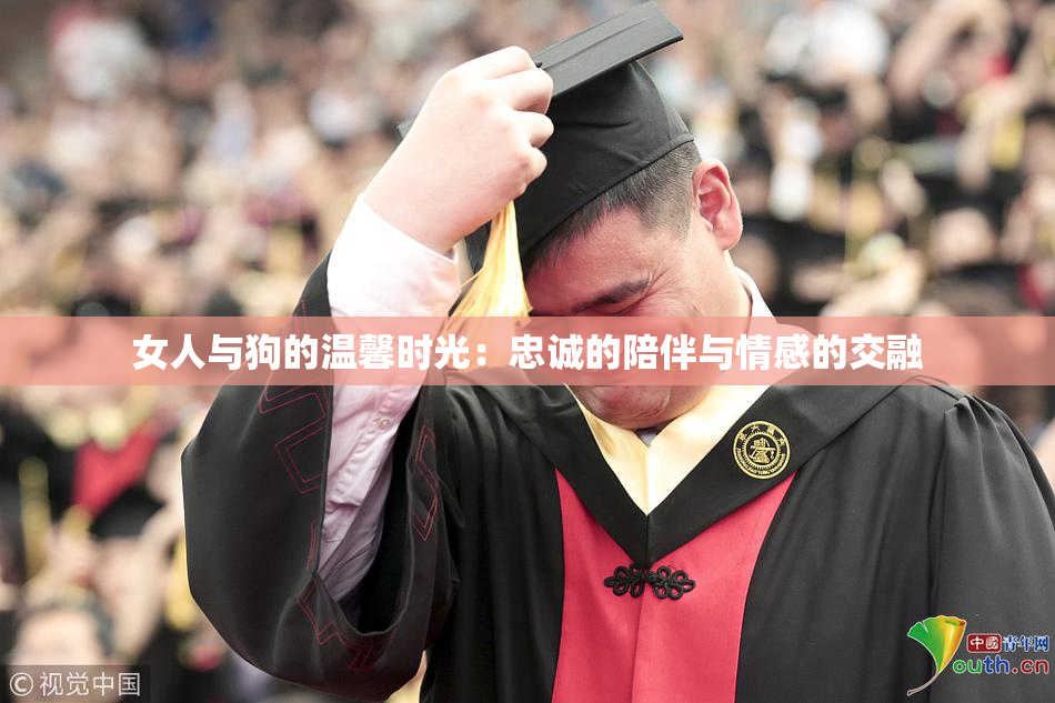 女人与狗的温馨时光：忠诚的陪伴与情感的交融