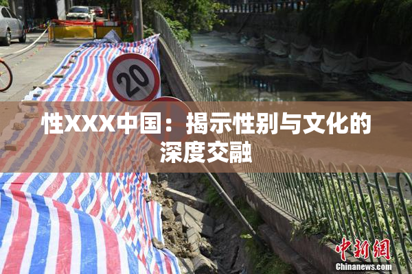 性XXX中国：揭示性别与文化的深度交融