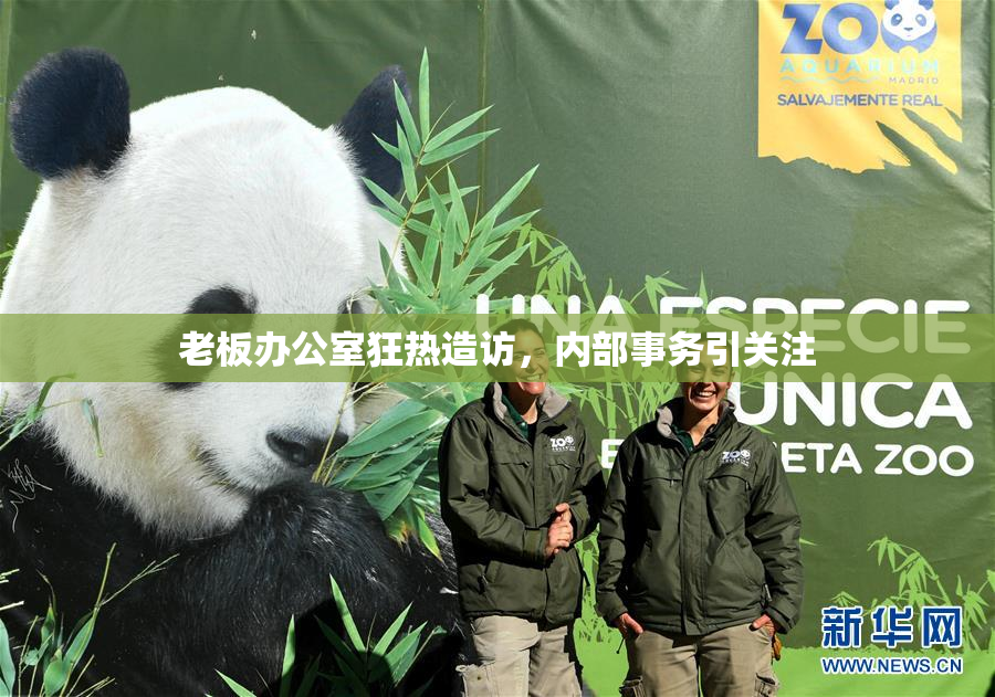 老板办公室狂热造访，内部事务引关注