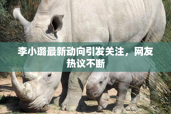 李小璐最新动向引发关注，网友热议不断