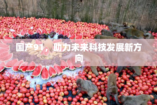 国产91，助力未来科技发展新方向