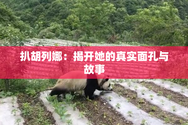扒胡列娜：揭开她的真实面孔与故事