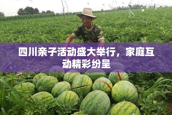 四川亲子活动盛大举行，家庭互动精彩纷呈