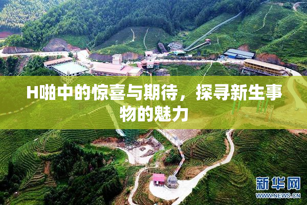 H啪中的惊喜与期待，探寻新生事物的魅力