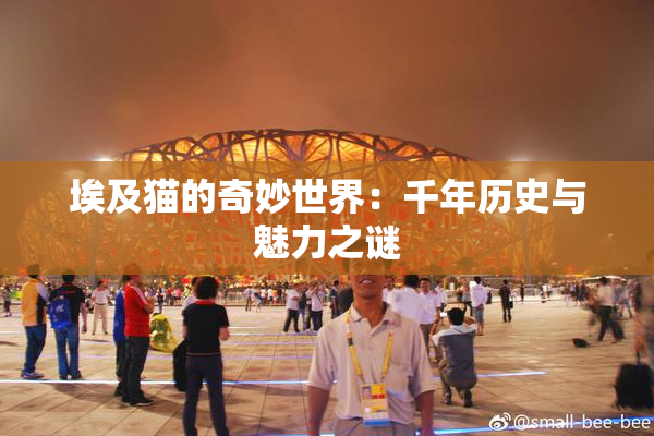 埃及猫的奇妙世界：千年历史与魅力之谜