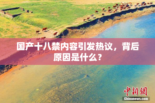 国产十八禁内容引发热议，背后原因是什么？