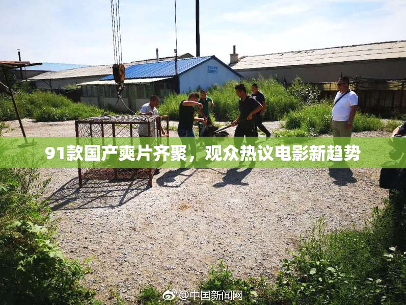 91款国产爽片齐聚，观众热议电影新趋势