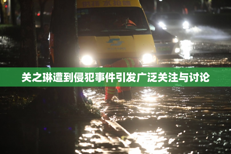 关之琳遭到侵犯事件引发广泛关注与讨论