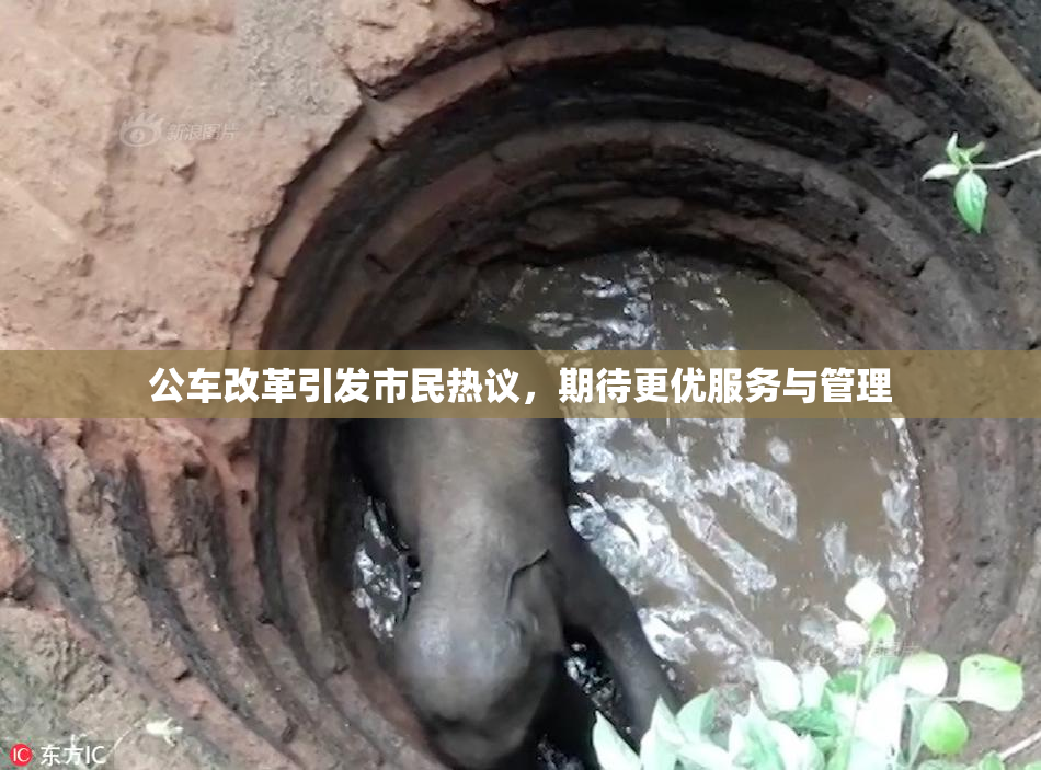 公车改革引发市民热议，期待更优服务与管理