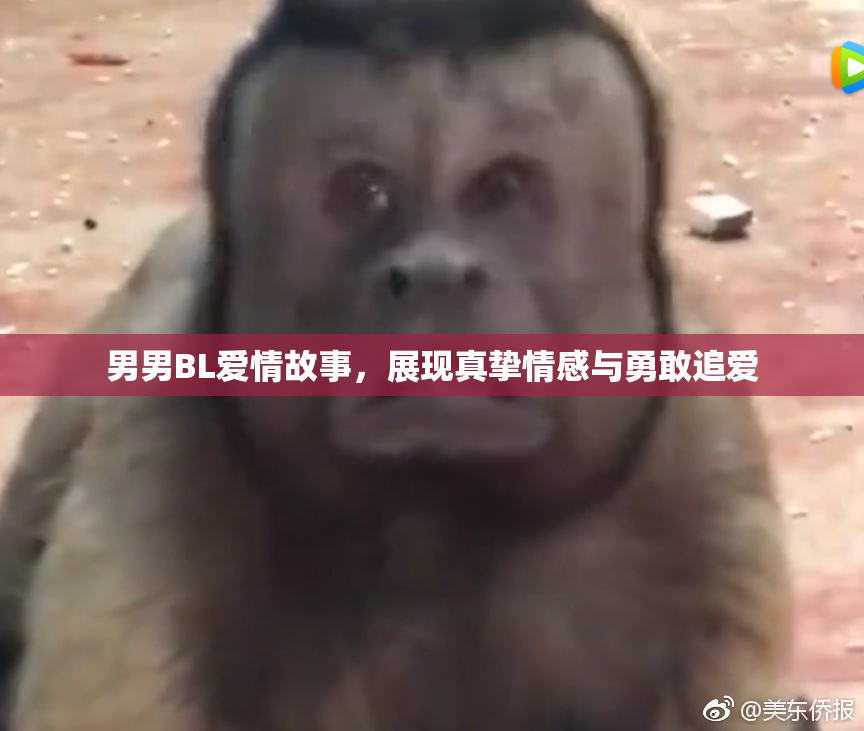 男男BL爱情故事，展现真挚情感与勇敢追爱