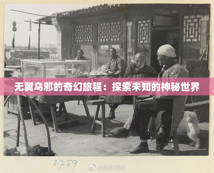 无翼乌邪的奇幻旅程：探索未知的神秘世界
