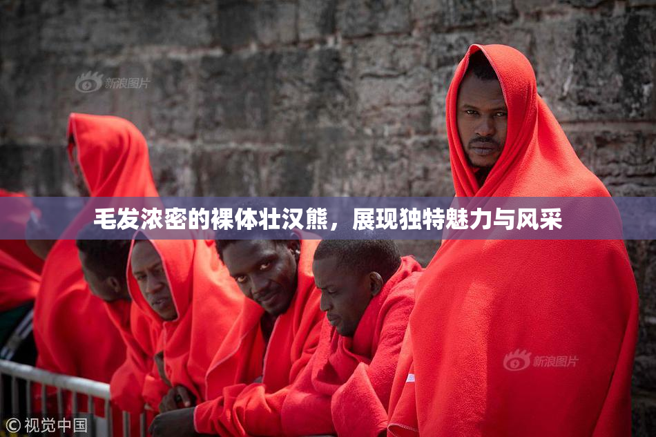 毛发浓密的裸体壮汉熊，展现独特魅力与风采