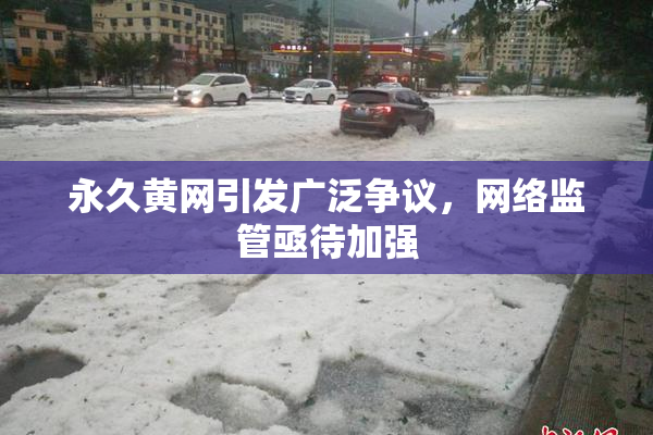 永久黄网引发广泛争议，网络监管亟待加强