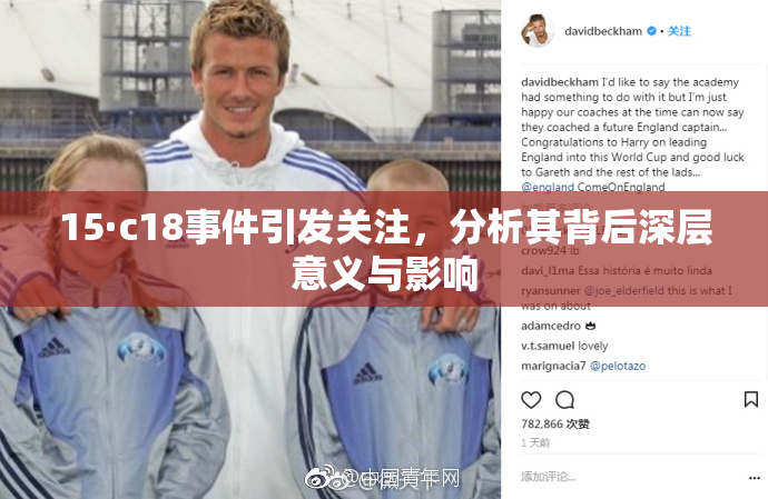 15·c18事件引发关注，分析其背后深层意义与影响