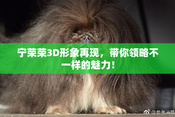 宁荣荣3D形象再现，带你领略不一样的魅力！