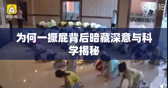 为何一撅屁背后暗藏深意与科学揭秘