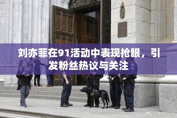 刘亦菲在91活动中表现抢眼，引发粉丝热议与关注