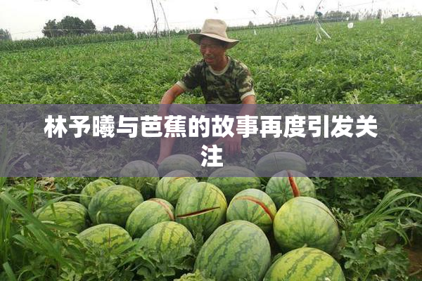 林予曦与芭蕉的故事再度引发关注