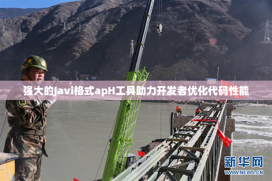 强大的Javi格式apH工具助力开发者优化代码性能