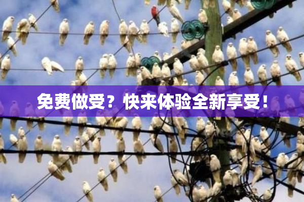 免费做受？快来体验全新享受！