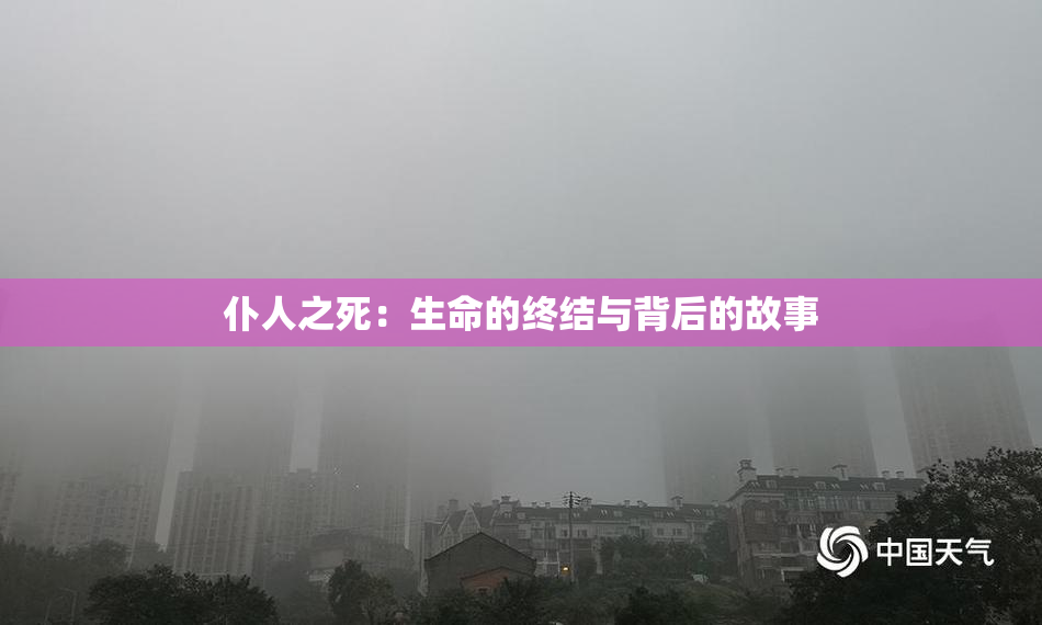 仆人之死：生命的终结与背后的故事