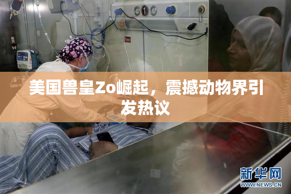 美国兽皇Zo崛起，震撼动物界引发热议