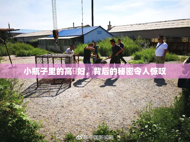 小瓶子里的高婬妇，背后的秘密令人惊叹