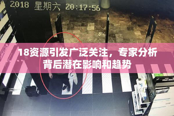 18资源引发广泛关注，专家分析背后潜在影响和趋势