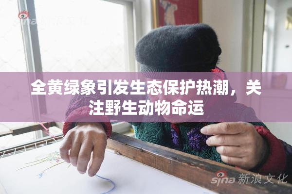 全黄绿象引发生态保护热潮，关注野生动物命运