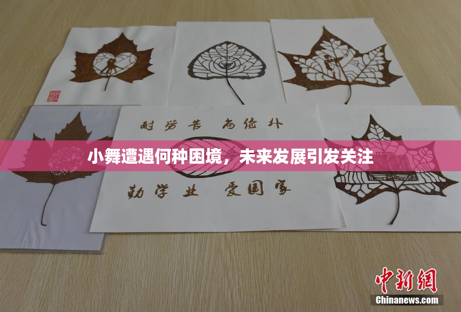 小舞遭遇何种困境，未来发展引发关注