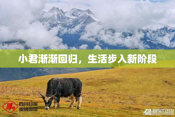 小君渐渐回归，生活步入新阶段