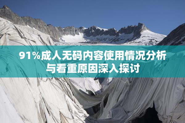 91%成人无码内容使用情况分析与看重原因深入探讨